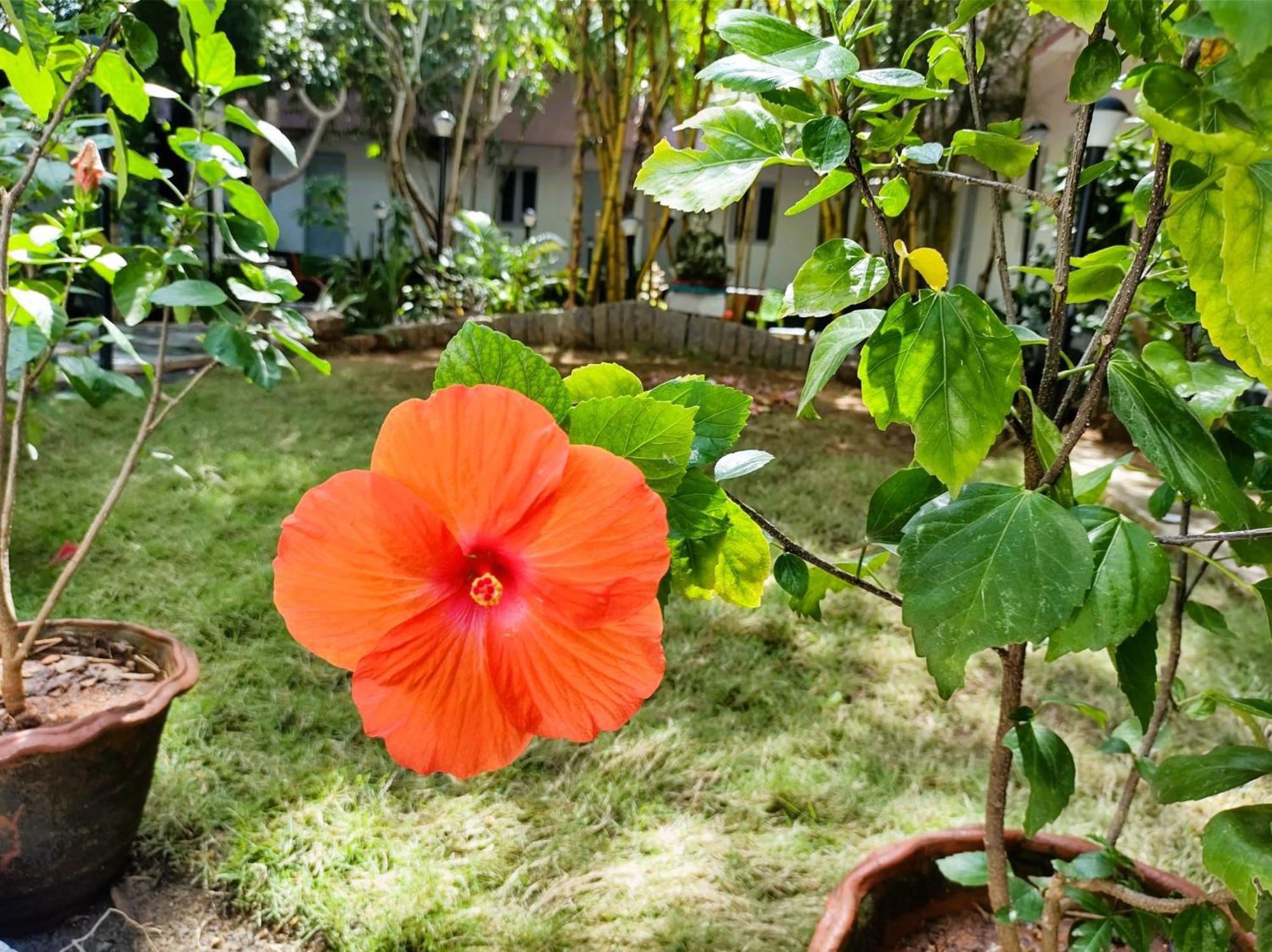 The Well Beach Side Guest House Auroville Kültér fotó